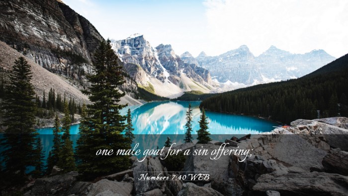 Picture 03 - Numbers 7:40 WEB Desktop Wallpaper - one male goat for a sin - Desktop Bible Verse Wallpaper