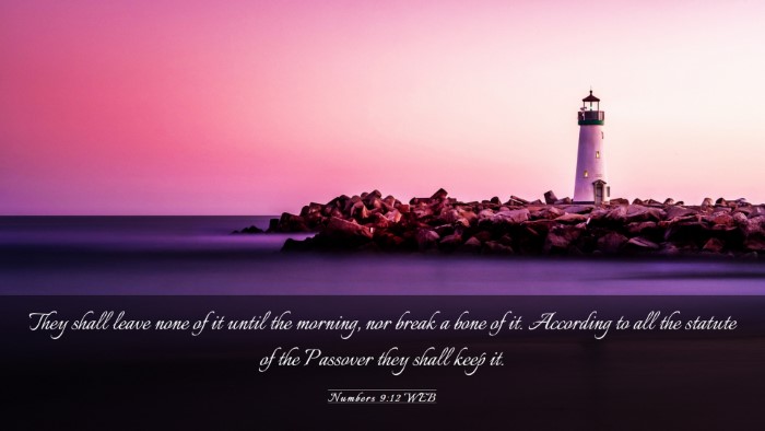 Picture 03 - Numbers 9:12 WEB Desktop Wallpaper - They shall leave none of it until the morning, - Desktop Bible Verse Wallpaper