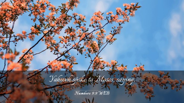 Picture 03 - Numbers 9:9 WEB Desktop Wallpaper - Yahweh spoke to Moses, - Desktop Bible Verse Wallpaper