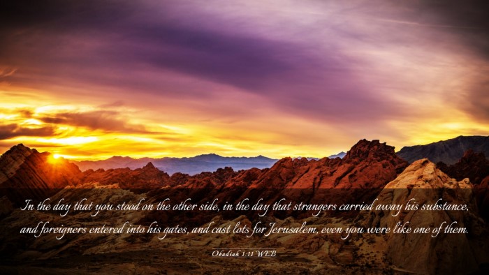 Picture 03 - Obadiah 1:11 WEB Desktop Wallpaper - In the day that you stood on the other side, in - Desktop Bible Verse Wallpaper