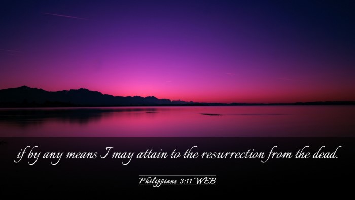 Picture 03 - Philippians 3:11 WEB Desktop Wallpaper - if by any means I may attain to the resurrection - Desktop Bible Verse Wallpaper