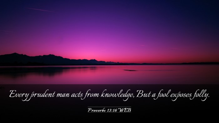 Picture 03 - Proverbs 13:16 WEB Desktop Wallpaper - Every prudent man acts from knowledge, But a fool - Desktop Bible Verse Wallpaper