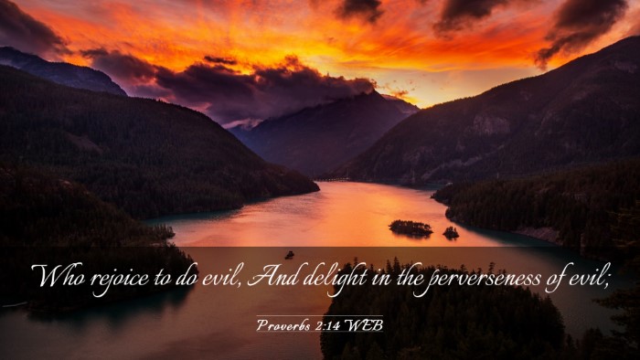 Picture 03 - Proverbs 2:14 WEB Desktop Wallpaper - Who rejoice to do evil, And delight in the - Desktop Bible Verse Wallpaper