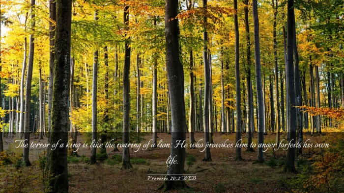 Picture 03 - Proverbs 20:2 WEB Desktop Wallpaper - The terror of a king is like the roaring of a - Desktop Bible Verse Wallpaper
