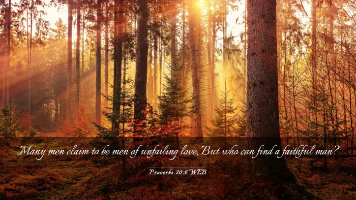 Picture 03 - Proverbs 20:6 WEB Desktop Wallpaper - Many men claim to be men of unfailing love, But - Desktop Bible Verse Wallpaper