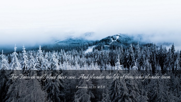 Picture 03 - Proverbs 22:23 WEB Desktop Wallpaper - For Yahweh will plead their case, And plunder the - Desktop Bible Verse Wallpaper