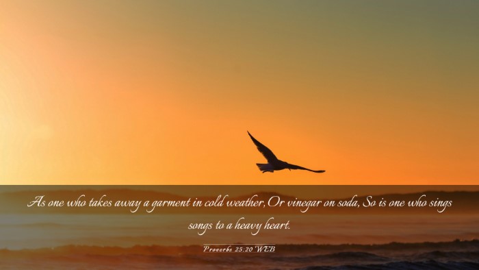Picture 03 - Proverbs 25:20 WEB Desktop Wallpaper - As one who takes away a garment in cold weather, - Desktop Bible Verse Wallpaper
