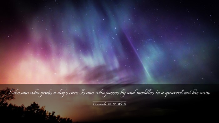 Picture 03 - Proverbs 26:17 WEB Desktop Wallpaper - Like one who grabs a dog's ears Is one who passes - Desktop Bible Verse Wallpaper