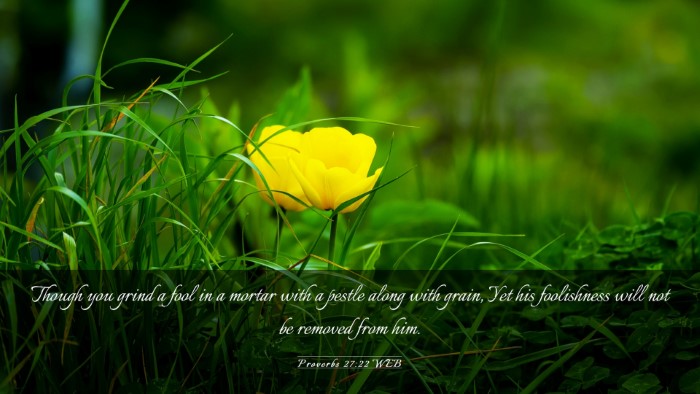 Picture 03 - Proverbs 27:22 WEB Desktop Wallpaper - Though you grind a fool in a mortar with a pestle - Desktop Bible Verse Wallpaper