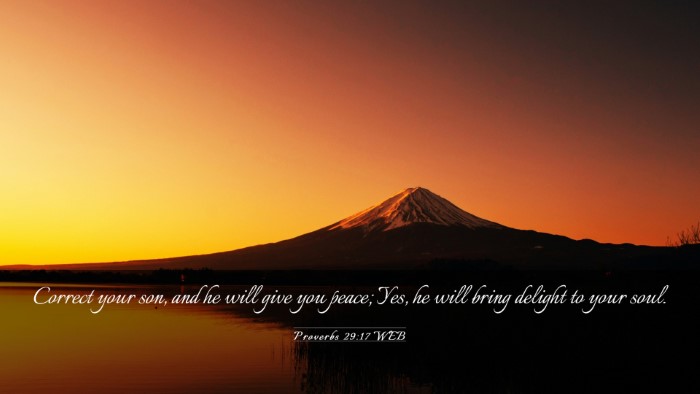 Picture 03 - Proverbs 29:17 WEB Desktop Wallpaper - Correct your son, and he will give you peace; - Desktop Bible Verse Wallpaper