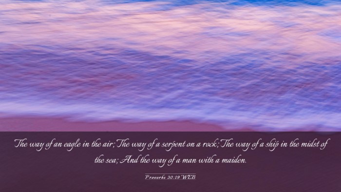 Picture 03 - Proverbs 30:19 WEB Desktop Wallpaper - The way of an eagle in the air; The way of a - Desktop Bible Verse Wallpaper