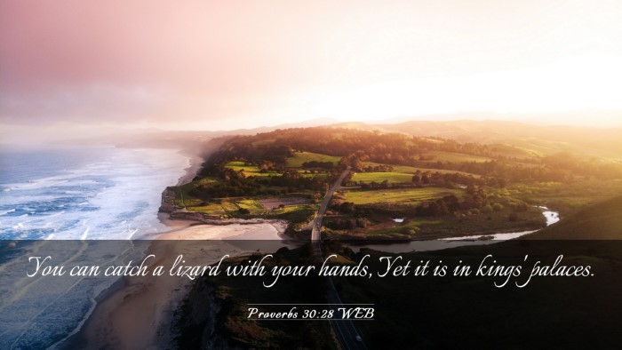 Picture 03 - Proverbs 30:28 WEB Desktop Wallpaper - You can catch a lizard with your hands, Yet it is - Desktop Bible Verse Wallpaper