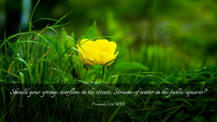 Picture 03 - Proverbs 5:16 WEB Desktop Wallpaper - Should your springs overflow in the streets, - Desktop Bible Verse Wallpaper