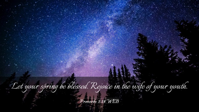 Picture 03 - Proverbs 5:18 WEB Desktop Wallpaper - Let your spring be blessed. Rejoice in the wife - Desktop Bible Verse Wallpaper