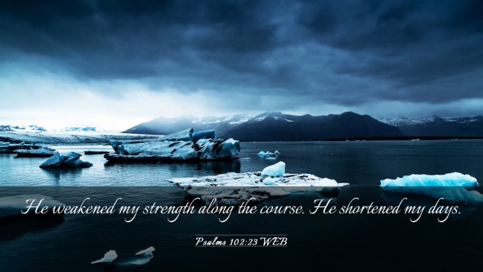 Picture 03 - Psalms 102:23 WEB Desktop Wallpaper - He weakened my strength along the course. He - Desktop Bible Verse Wallpaper