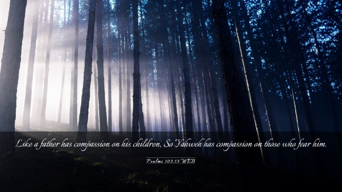 Picture 03 - Psalms 103:13 WEB Desktop Wallpaper - Like a father has compassion on his children, So - Desktop Bible Verse Wallpaper