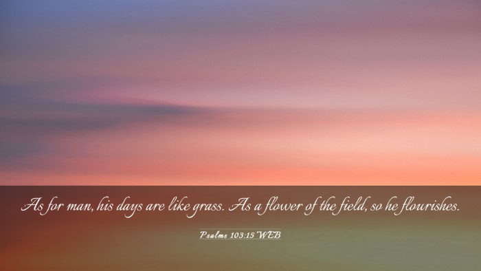 Picture 03 - Psalms 103:15 WEB Desktop Wallpaper - As for man, his days are like grass. As a flower - Desktop Bible Verse Wallpaper