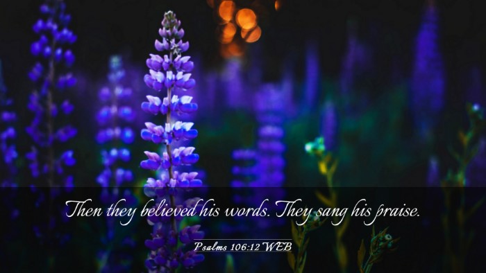 Picture 03 - Psalms 106:12 WEB Desktop Wallpaper - Then they believed his words. They sang his - Desktop Bible Verse Wallpaper
