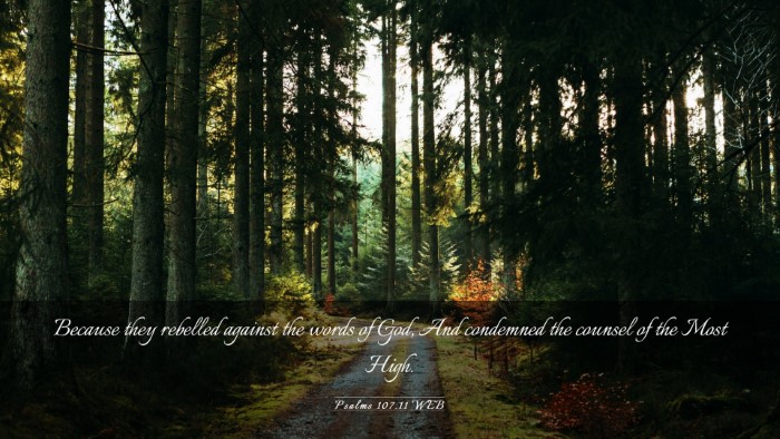 Picture 03 - Psalms 107:11 WEB Desktop Wallpaper - Because they rebelled against the words of God, - Desktop Bible Verse Wallpaper