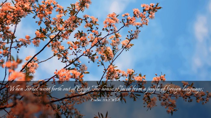 Picture 03 - Psalms 114:1 WEB Desktop Wallpaper - When Israel went forth out of Egypt, The house of - Desktop Bible Verse Wallpaper