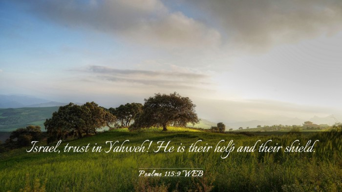 Picture 03 - Psalms 115:9 WEB Desktop Wallpaper - Israel, trust in Yahweh! He is their help and - Desktop Bible Verse Wallpaper