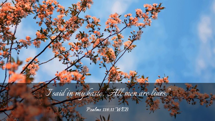 Picture 03 - Psalms 116:11 WEB Desktop Wallpaper - I said in my haste, 