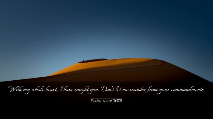 Picture 03 - Psalms 119:10 WEB Desktop Wallpaper - With my whole heart, I have sought you. Don't let - Desktop Bible Verse Wallpaper