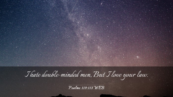 Picture 03 - Psalms 119:113 WEB Desktop Wallpaper - I hate double-minded men, But I love your - Desktop Bible Verse Wallpaper