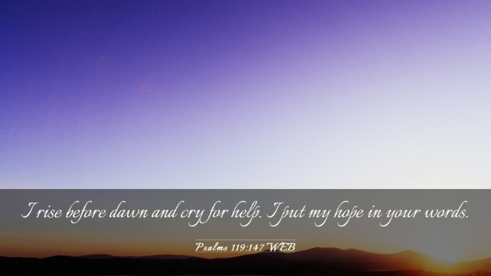 Picture 03 - Psalms 119:147 WEB Desktop Wallpaper - I rise before dawn and cry for help. I put my - Desktop Bible Verse Wallpaper