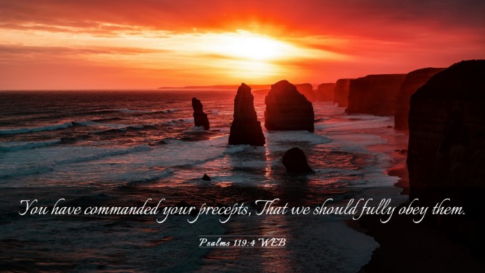 Picture 03 - Psalms 119:4 WEB Desktop Wallpaper - You have commanded your precepts, That we should - Desktop Bible Verse Wallpaper
