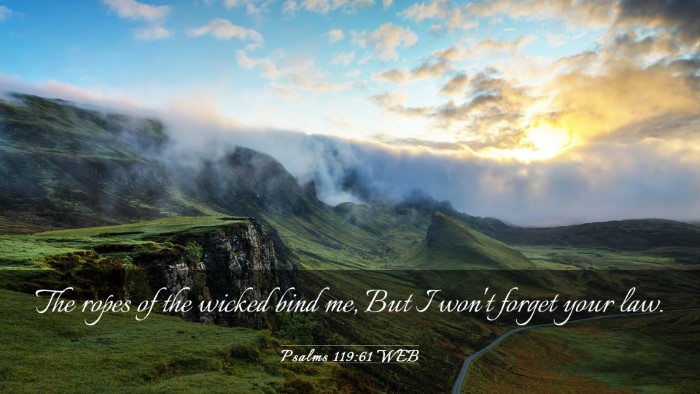 Picture 03 - Psalms 119:61 WEB Desktop Wallpaper - The ropes of the wicked bind me, But I won't - Desktop Bible Verse Wallpaper