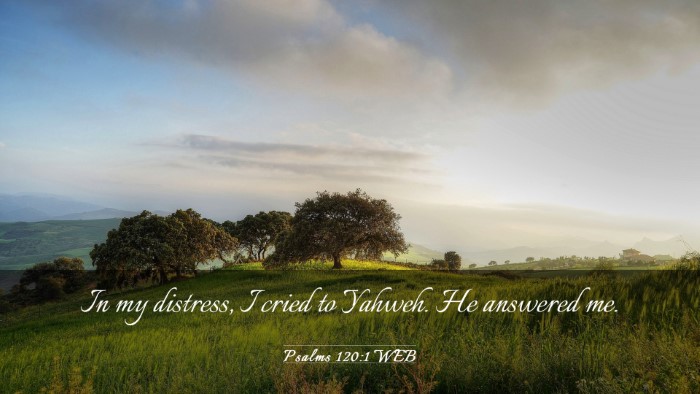 Picture 03 - Psalms 120:1 WEB Desktop Wallpaper - In my distress, I cried to Yahweh. He answered - Desktop Bible Verse Wallpaper