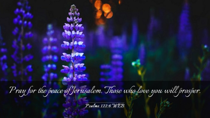 Picture 03 - Psalms 122:6 WEB Desktop Wallpaper - Pray for the peace of Jerusalem. Those who love - Desktop Bible Verse Wallpaper