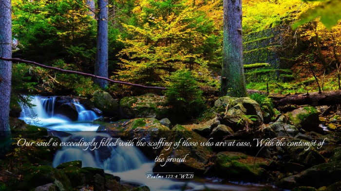 Picture 03 - Psalms 123:4 WEB Desktop Wallpaper - Our soul is exceedingly filled with the scoffing - Desktop Bible Verse Wallpaper