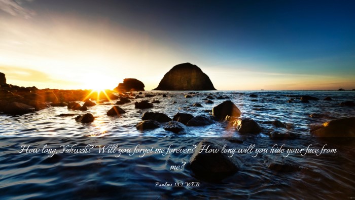 Picture 03 - Psalms 13:1 WEB Desktop Wallpaper - How long, Yahweh? Will you forget me forever? How - Desktop Bible Verse Wallpaper