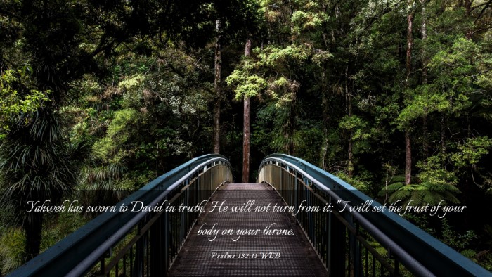 Picture 03 - Psalms 132:11 WEB Desktop Wallpaper - Yahweh has sworn to David in truth. He will not - Desktop Bible Verse Wallpaper