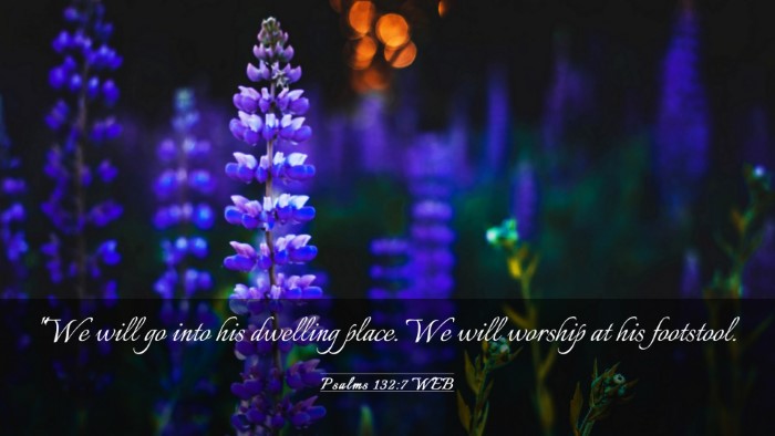 Picture 03 - Psalms 132:7 WEB Desktop Wallpaper - 