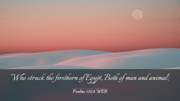 Picture 03 - Psalms 135:8 WEB Desktop Wallpaper - Who struck the firstborn of Egypt, Both of man - Desktop Bible Verse Wallpaper