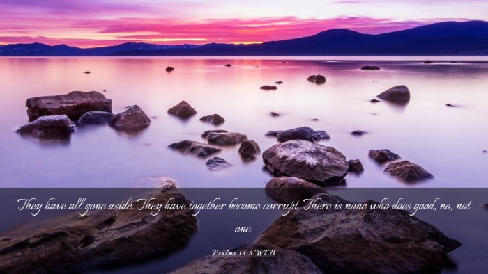Picture 03 - Psalms 14:3 WEB Desktop Wallpaper - They have all gone aside. They have together - Desktop Bible Verse Wallpaper