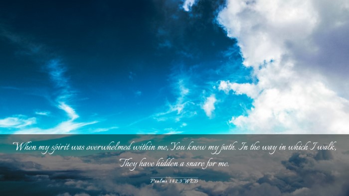 Picture 03 - Psalms 142:3 WEB Desktop Wallpaper - When my spirit was overwhelmed within me, You - Desktop Bible Verse Wallpaper