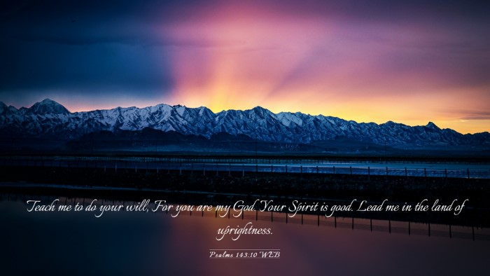 Picture 03 - Psalms 143:10 WEB Desktop Wallpaper - Teach me to do your will, For you are my God. - Desktop Bible Verse Wallpaper