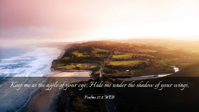 Picture 03 - Psalms 17:8 WEB Desktop Wallpaper - Keep me as the apple of your eye; Hide me under - Desktop Bible Verse Wallpaper