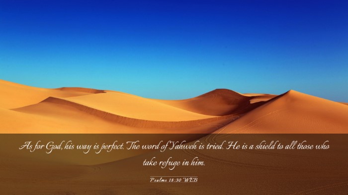 Picture 03 - Psalms 18:30 WEB Desktop Wallpaper - As for God, his way is perfect. The word of - Desktop Bible Verse Wallpaper