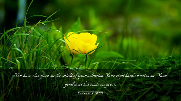 Picture 03 - Psalms 18:35 WEB Desktop Wallpaper - You have also given me the shield of your - Desktop Bible Verse Wallpaper