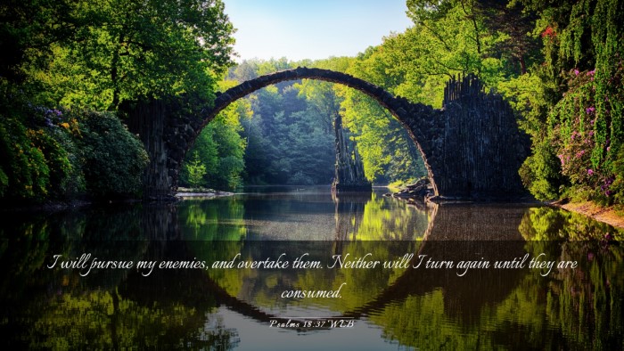 Picture 03 - Psalms 18:37 WEB Desktop Wallpaper - I will pursue my enemies, and overtake them. - Desktop Bible Verse Wallpaper