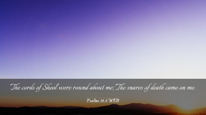 Picture 03 - Psalms 18:5 WEB Desktop Wallpaper - The cords of Sheol were round about me; The - Desktop Bible Verse Wallpaper
