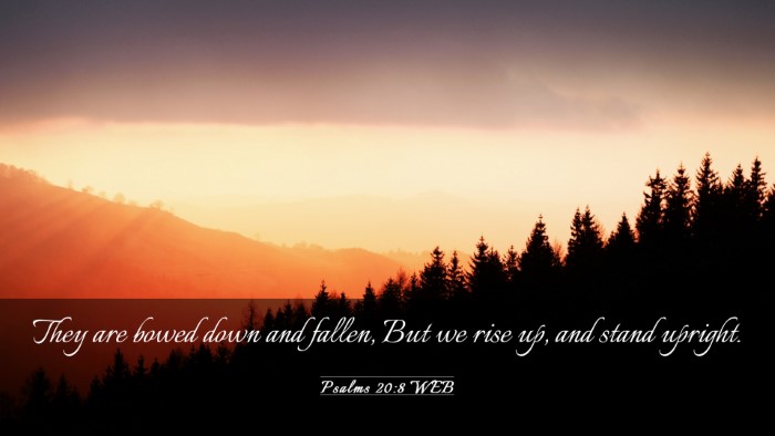 Picture 03 - Psalms 20:8 WEB Desktop Wallpaper - They are bowed down and fallen, But we rise up, - Desktop Bible Verse Wallpaper