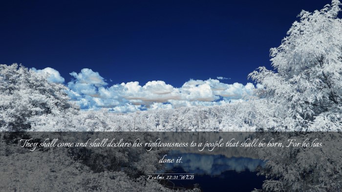 Picture 03 - Psalms 22:31 WEB Desktop Wallpaper - They shall come and shall declare his - Desktop Bible Verse Wallpaper