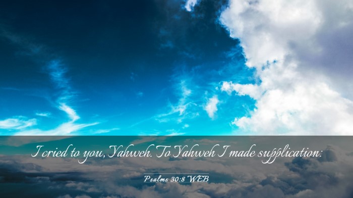 Picture 03 - Psalms 30:8 WEB Desktop Wallpaper - I cried to you, Yahweh. To Yahweh I made - Desktop Bible Verse Wallpaper