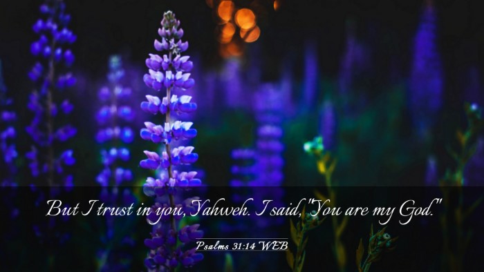 Picture 03 - Psalms 31:14 WEB Desktop Wallpaper - But I trust in you, Yahweh. I said, 